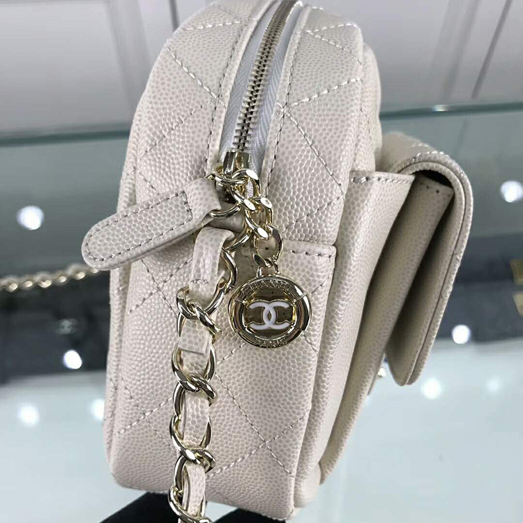 2019 Chanel camera case