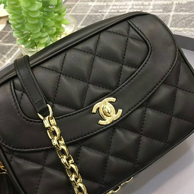 2019 Chanel camera case