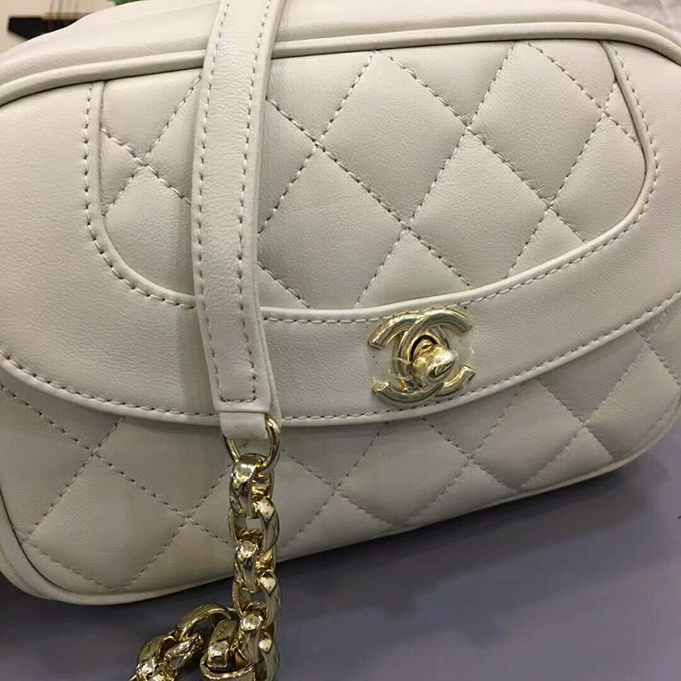 2019 Chanel camera case