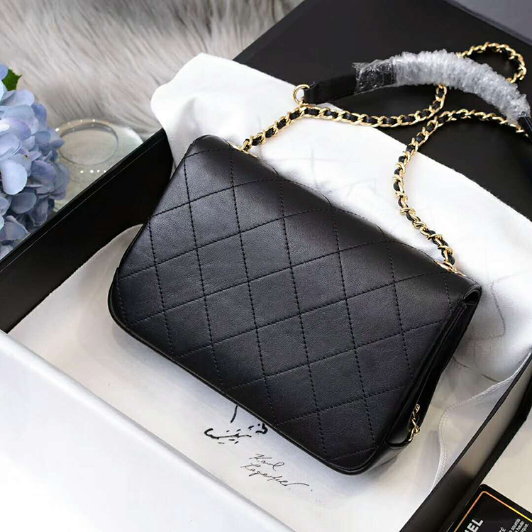 2019 Chanel flap bag