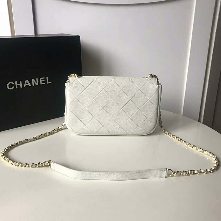 2019 Chanel flap bag