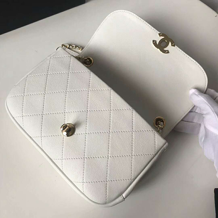 2019 Chanel flap bag