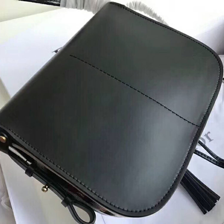 2019 Dior Diorodeo flap bag