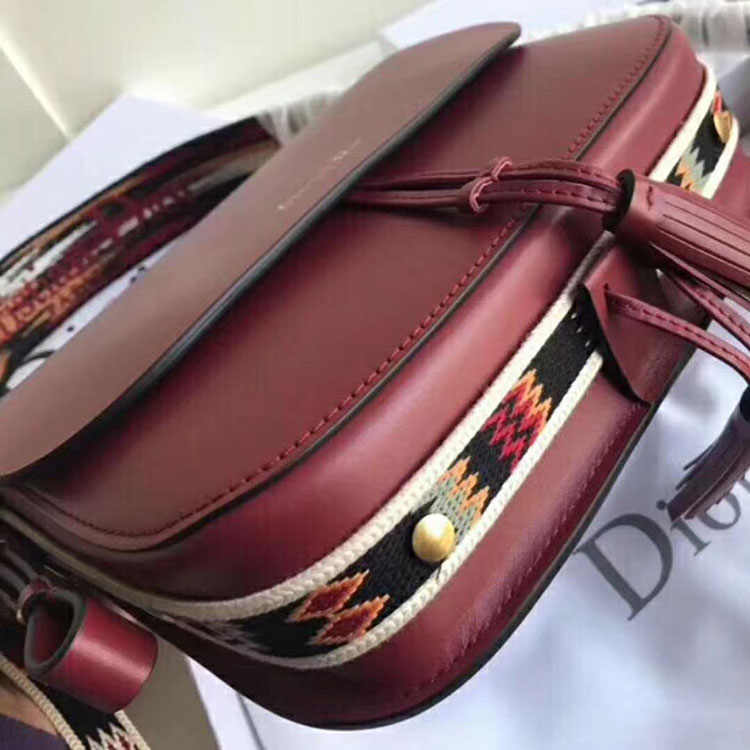 2019 Dior Diorodeo flap bag