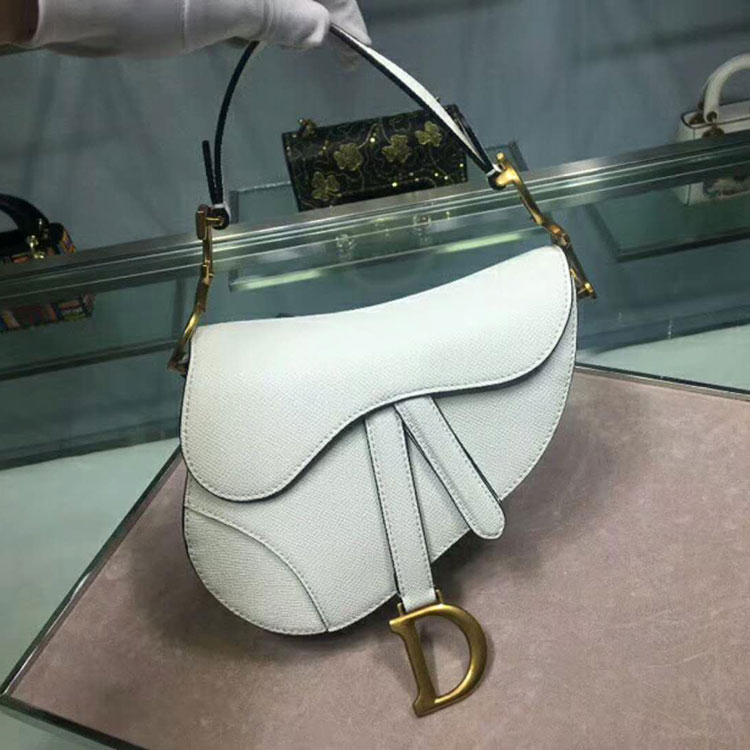 2019 Dior Mini Saddle bag