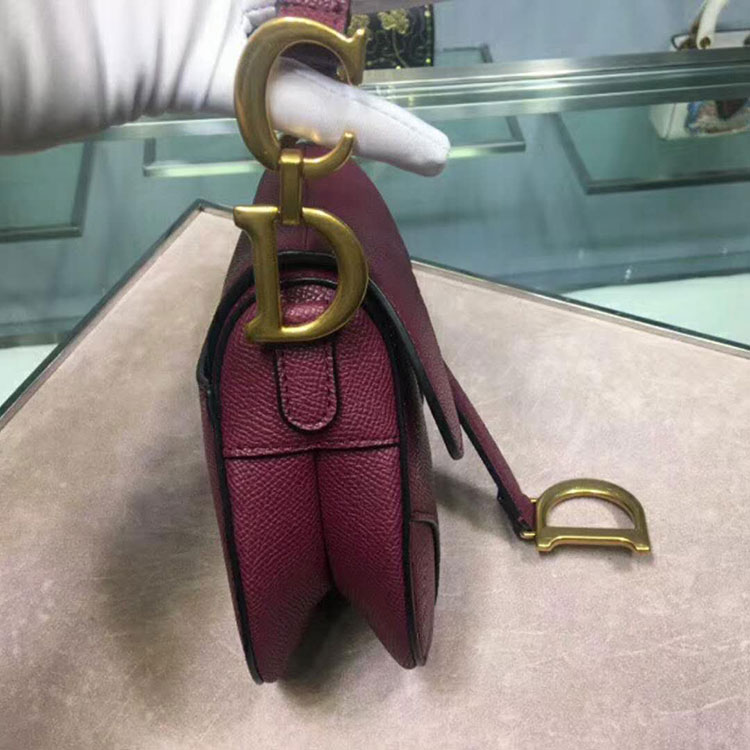 2019 Dior Mini Saddle bag