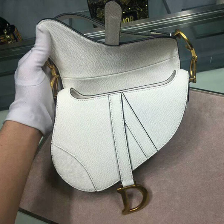 2019 Dior Mini Saddle bag