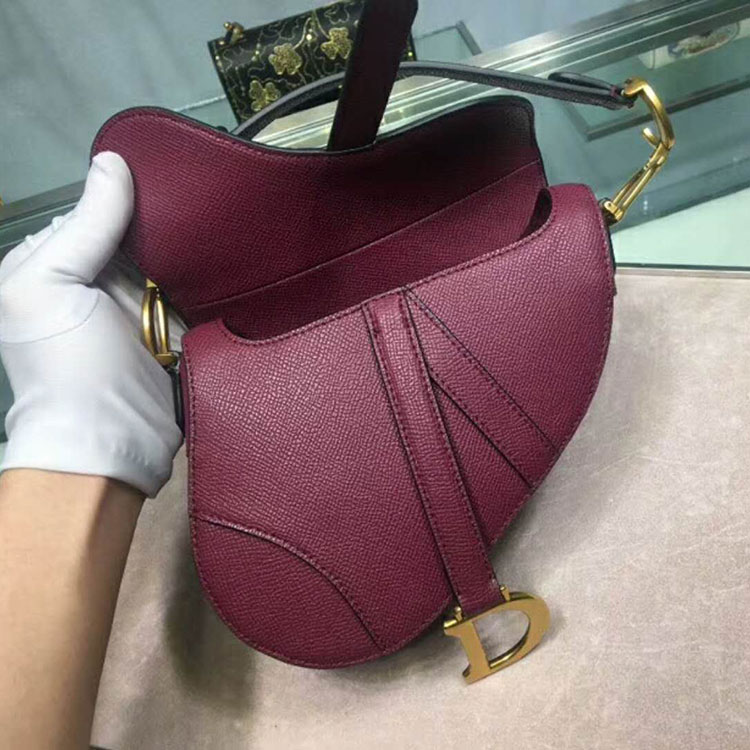 2019 Dior Mini Saddle bag