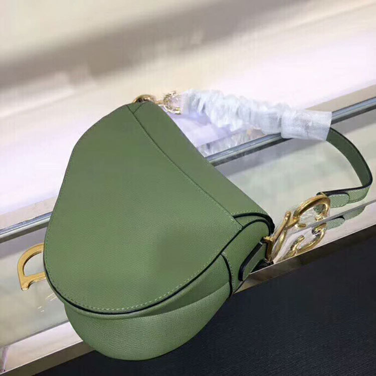 2019 Dior Saddle bag