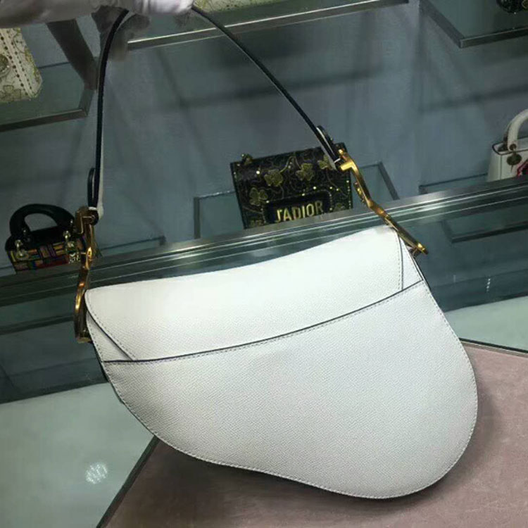 2019 Dior Saddle bag