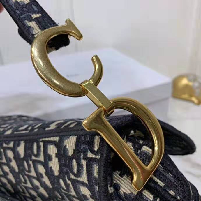 2019 Dior Saddle bag