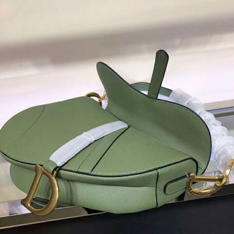 2019 Dior Saddle bag