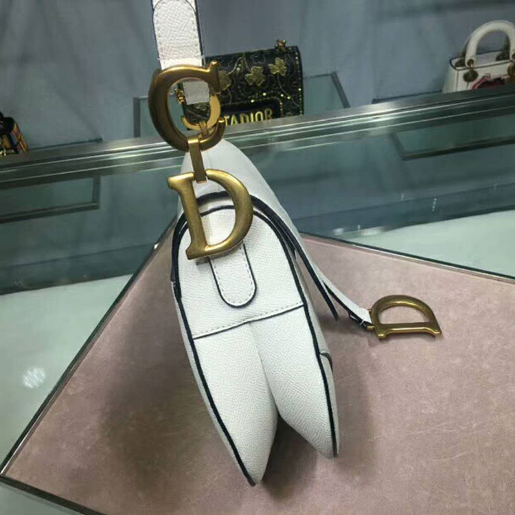 2019 Dior Saddle bag