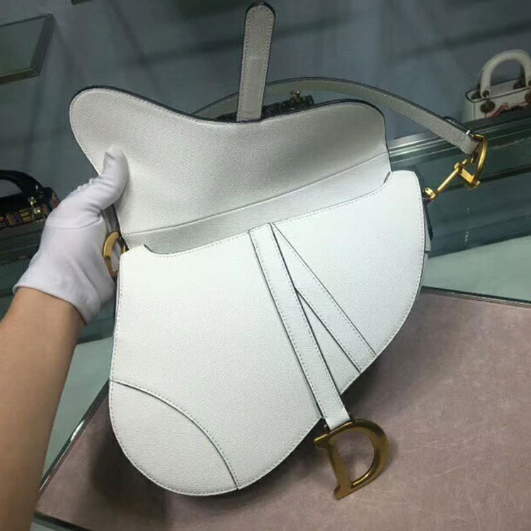 2019 Dior Saddle bag