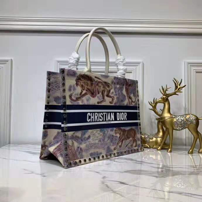 2019 Dior Small Book Tote bag