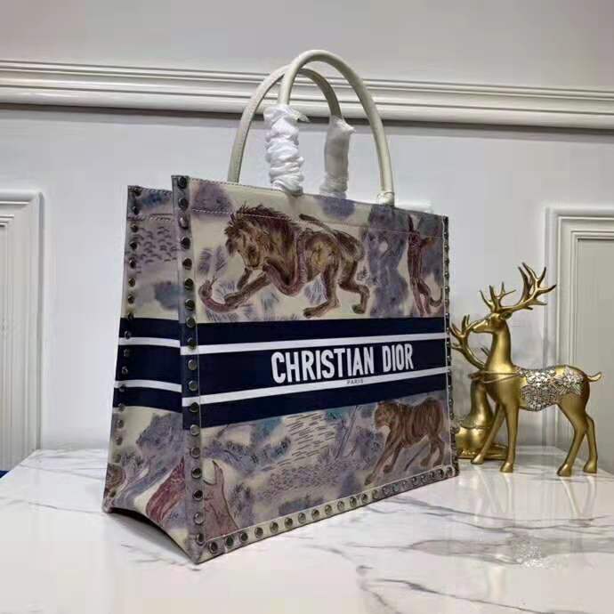 2019 Dior Book Tote bag