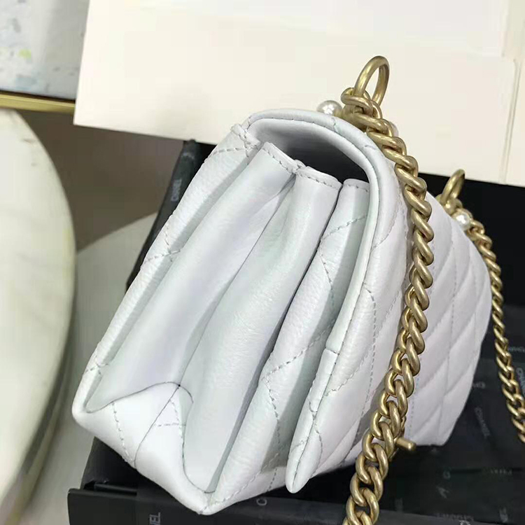 2020 Chanel 19 flap bag