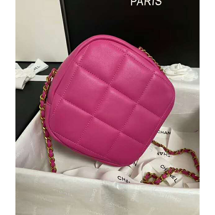 2020 Chanel Flap Bag