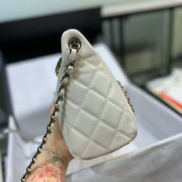 2020 Chanel Flap bag