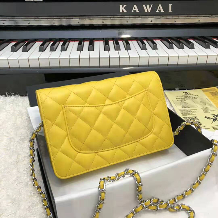 2020 Chanel WOC A33814 Mini Flap Bag