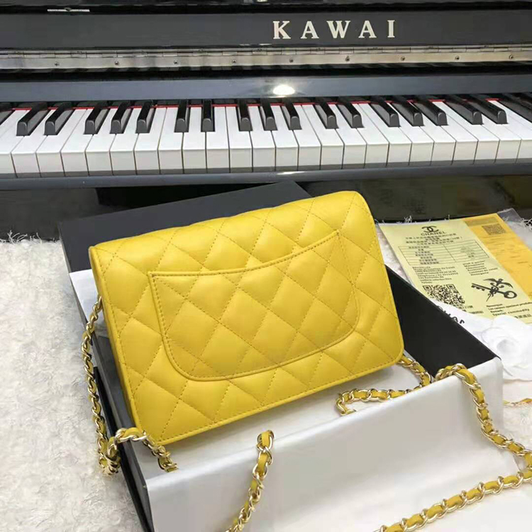 2020 Chanel WOC A33814 Mini Flap Bag