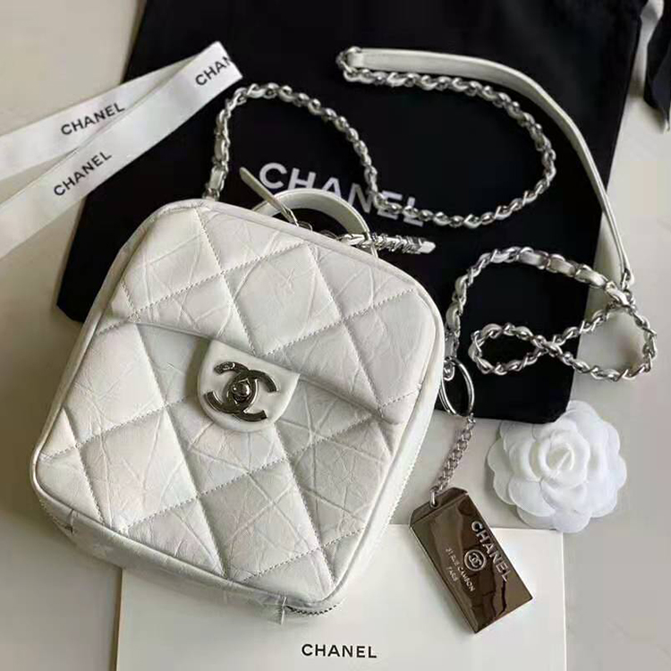 2020 Chanel camera case