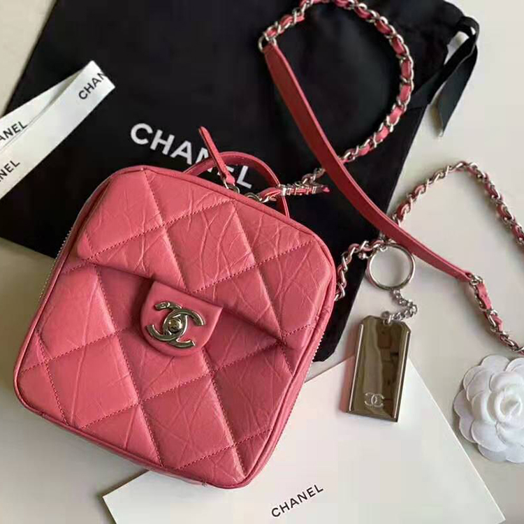 2020 Chanel camera case