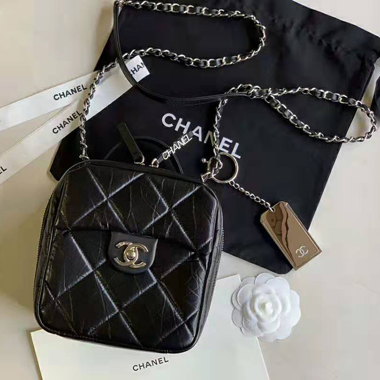 2020 Chanel camera case