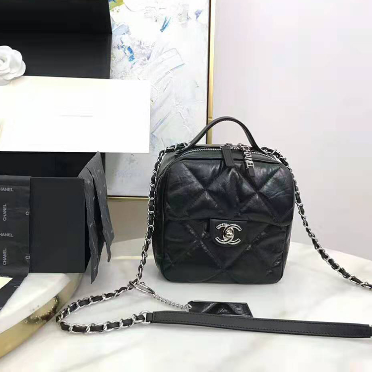 2020 Chanel camera case