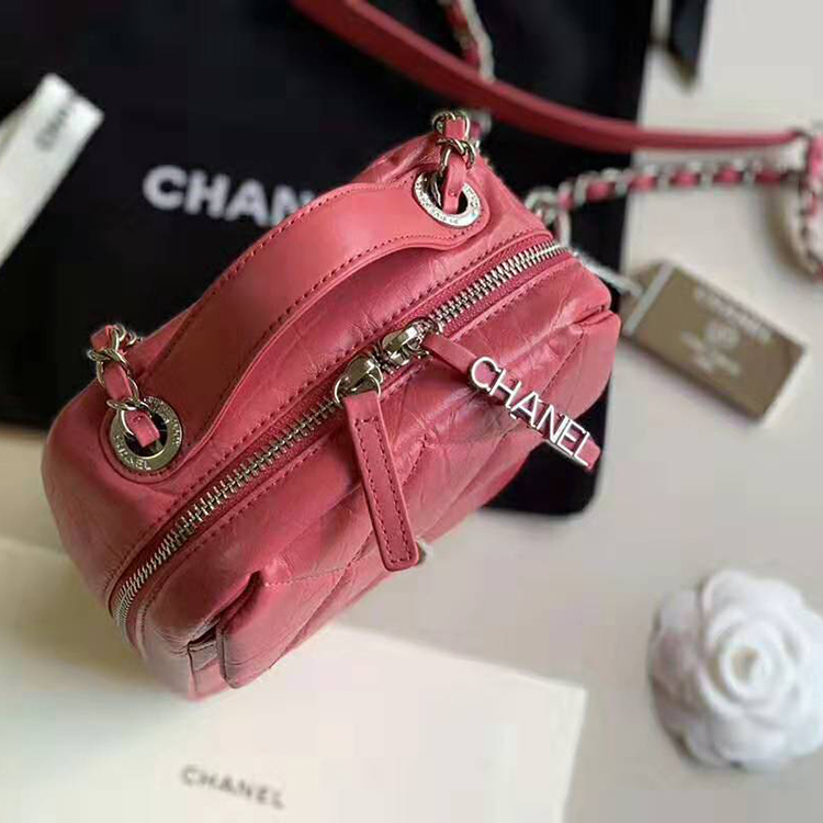 2020 Chanel camera case