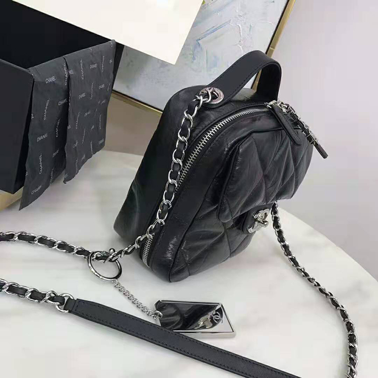 2020 Chanel camera case