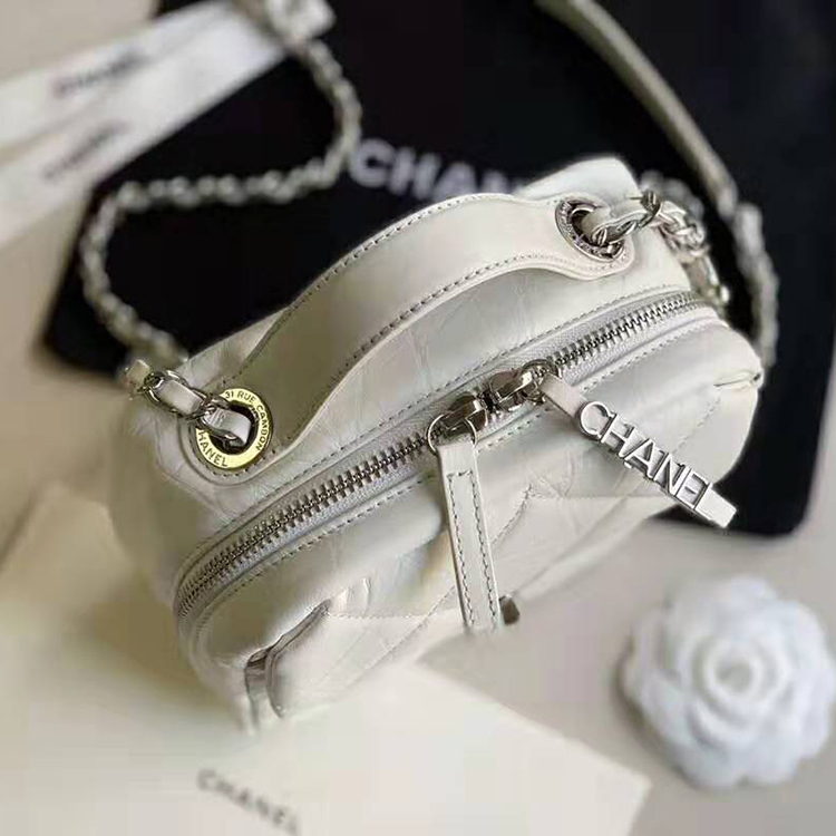 2020 Chanel camera case