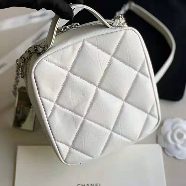 2020 Chanel camera case