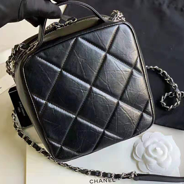 2020 Chanel camera case