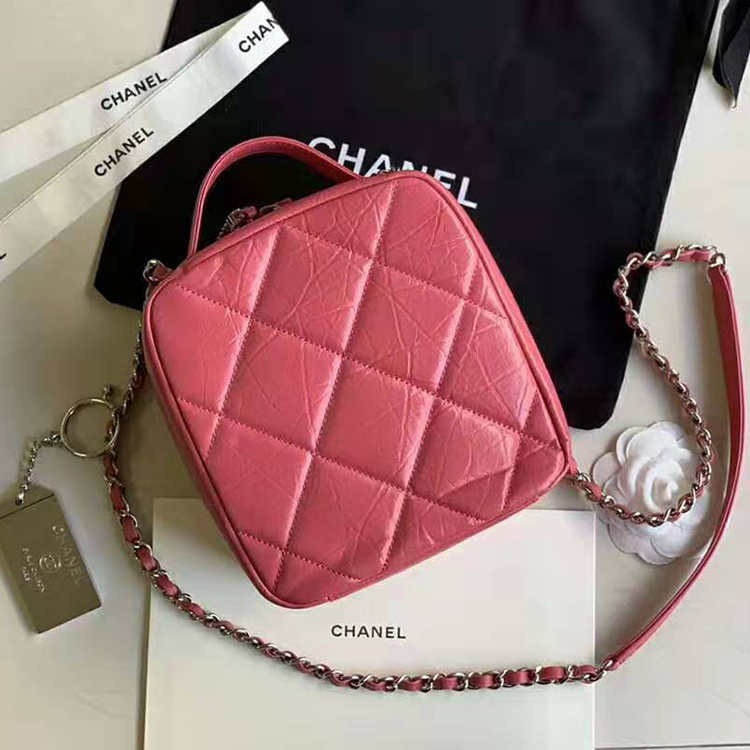 2020 Chanel camera case