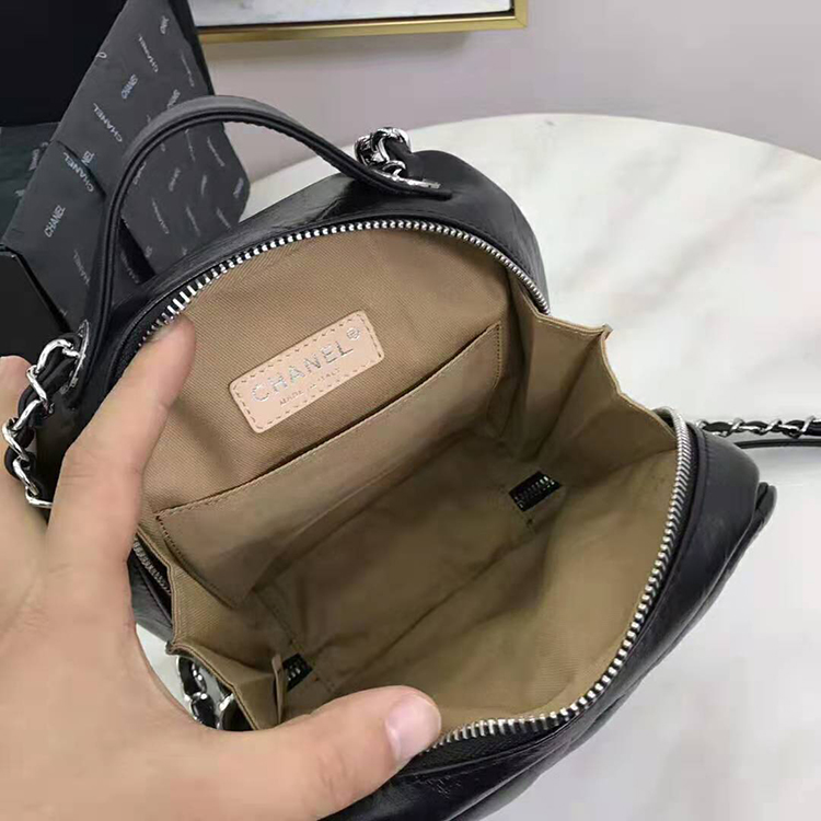 2020 Chanel camera case