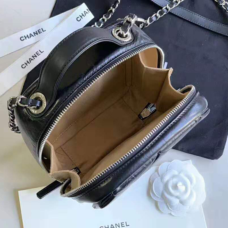 2020 Chanel camera case