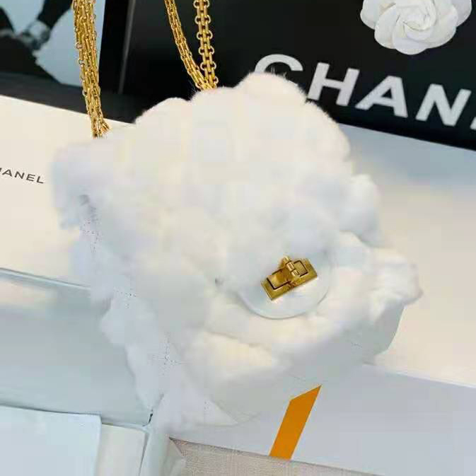 2020 Chanel mini handbag