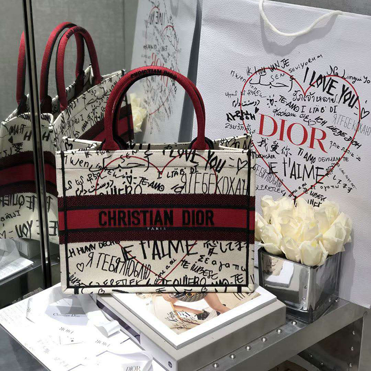 2020 SMALL DIOR BOOK TOTE