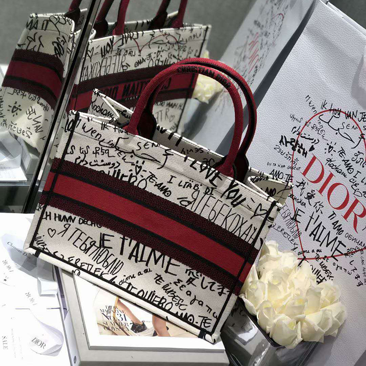 2020 SMALL DIOR BOOK TOTE