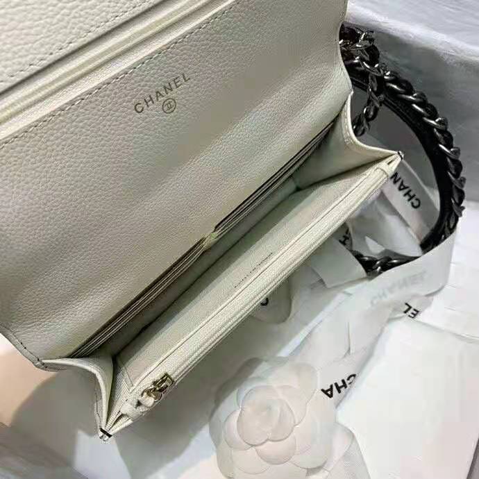 2021 Chanel 19 WOC Mini Flap Bag