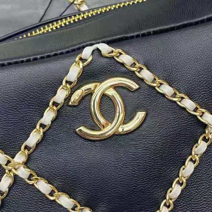 2021 Chanel camera case