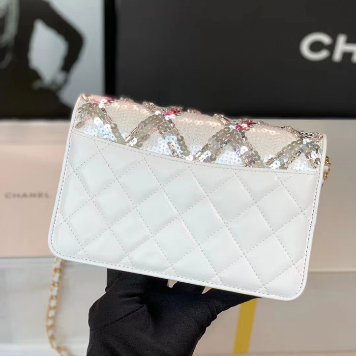 2022 Chanel WALLET ON CHAIN