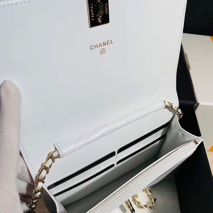 2022 Chanel WOC Mini Flap Bag