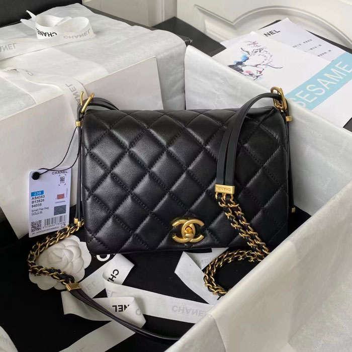 2023 Chanel Flap Bag