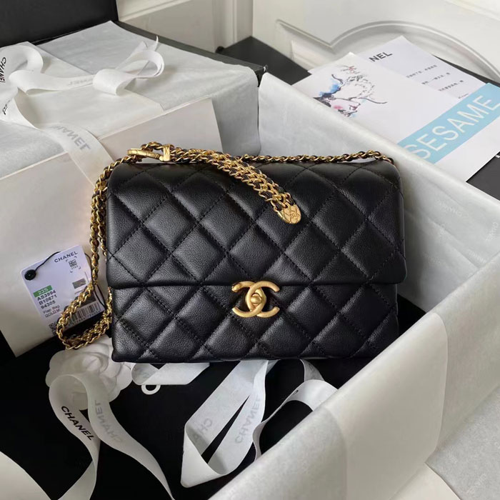 2023 Chanel Flap Bag