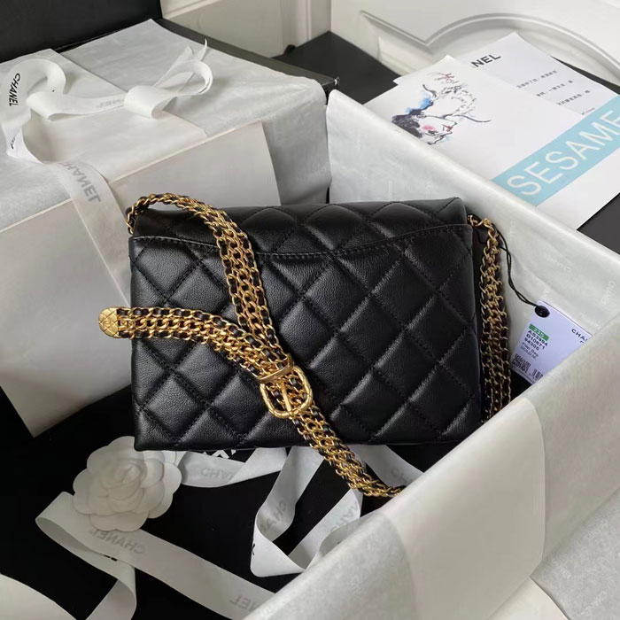 2023 Chanel Flap Bag