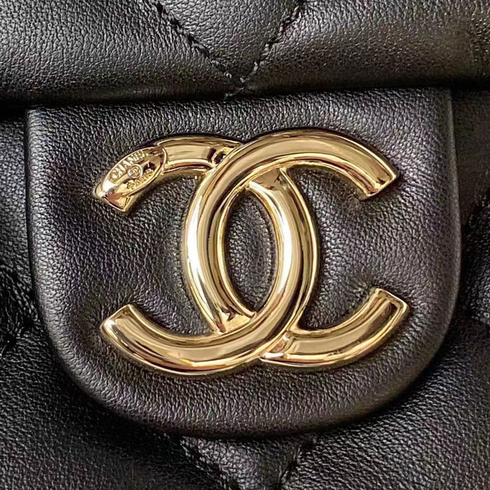 2023 Chanel Large Hobo Handbag