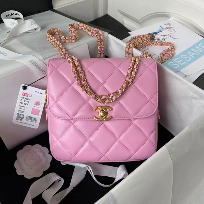 2023 Chanel MINI FLAP BAG