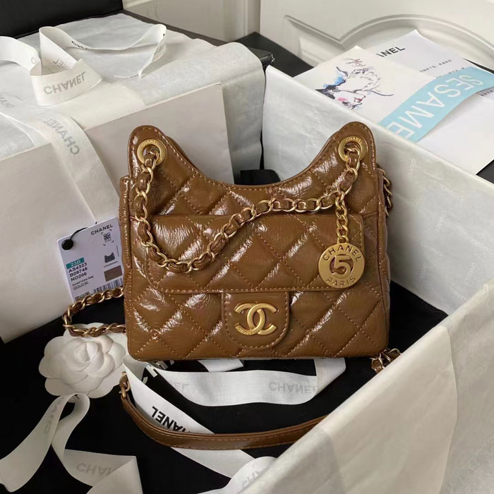 2023 Chanel Small Hobo Handbag